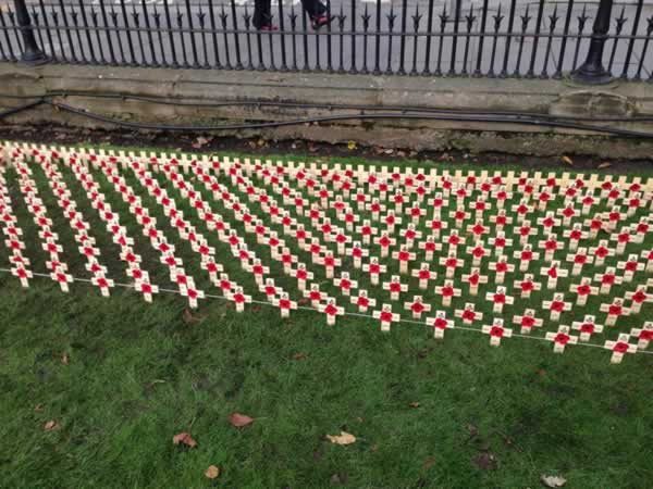 Poppy Scotland